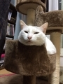 20201221202939
