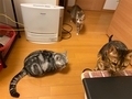 20201223234333