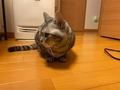 20201224001127