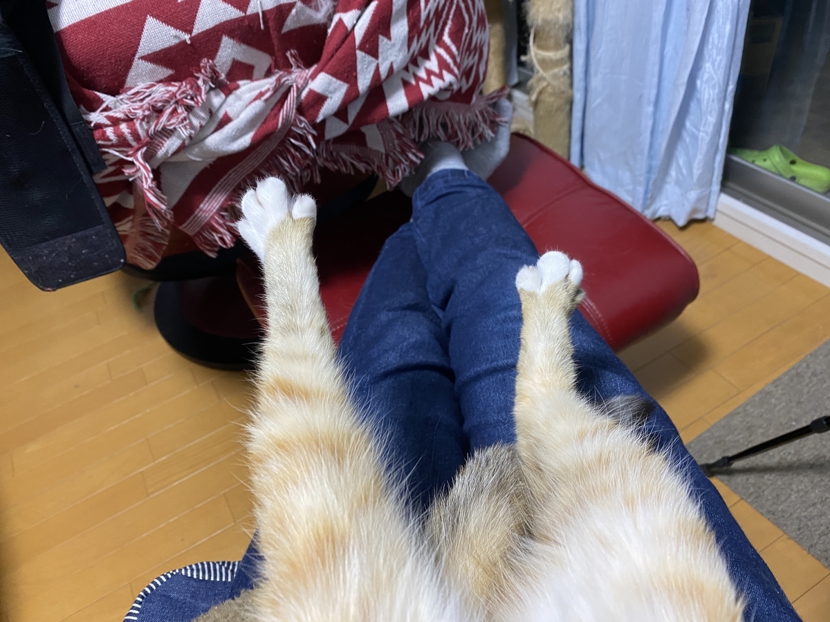 f:id:mp87:20210109020204j:plain