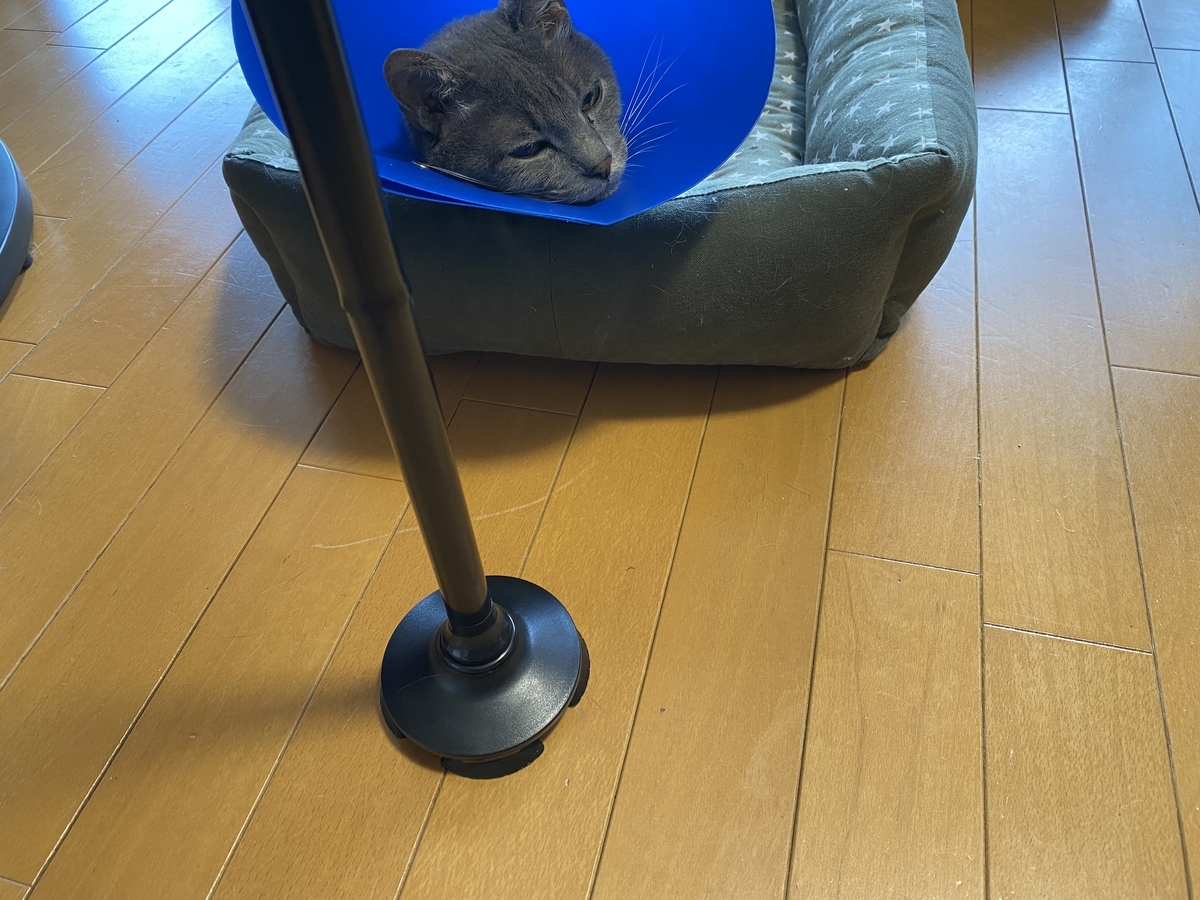 f:id:mp87:20210217234614j:plain
