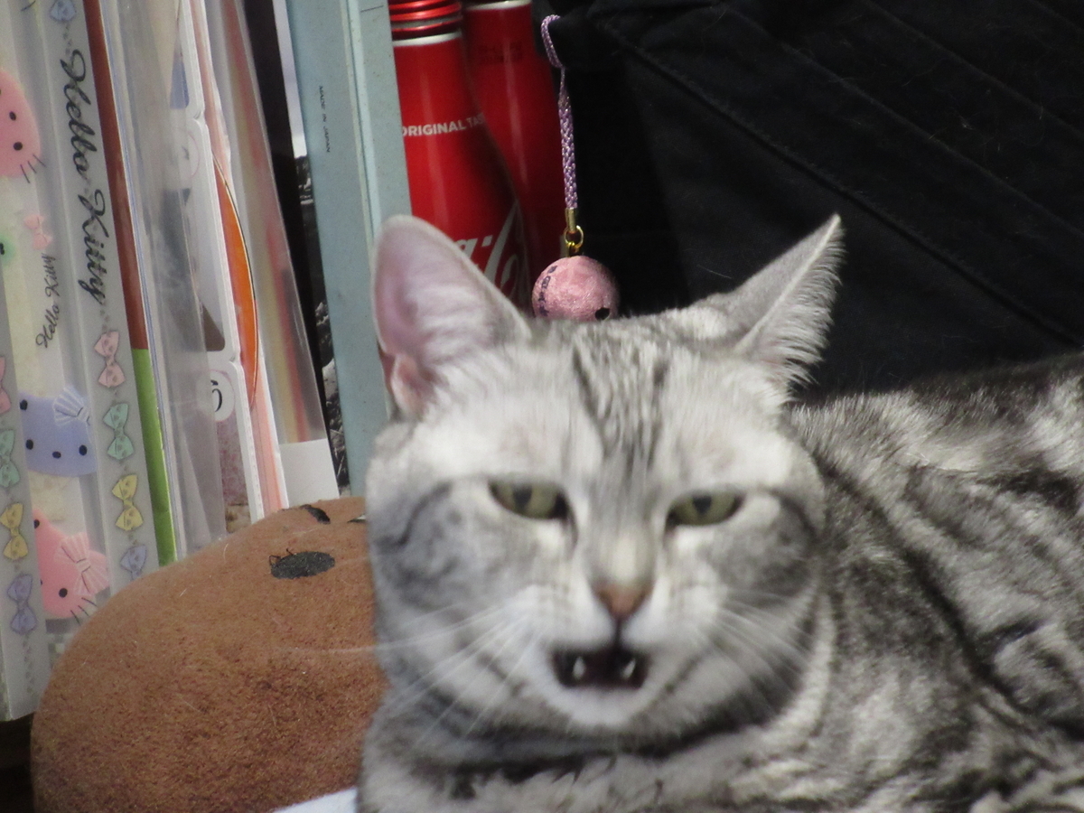 f:id:mp87:20210220005906j:plain