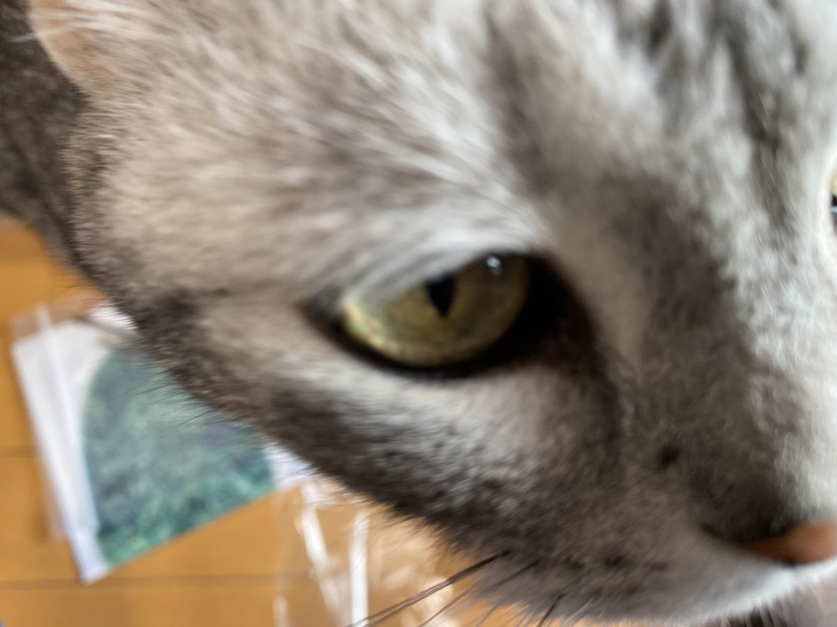 f:id:mp87:20210316231714j:plain