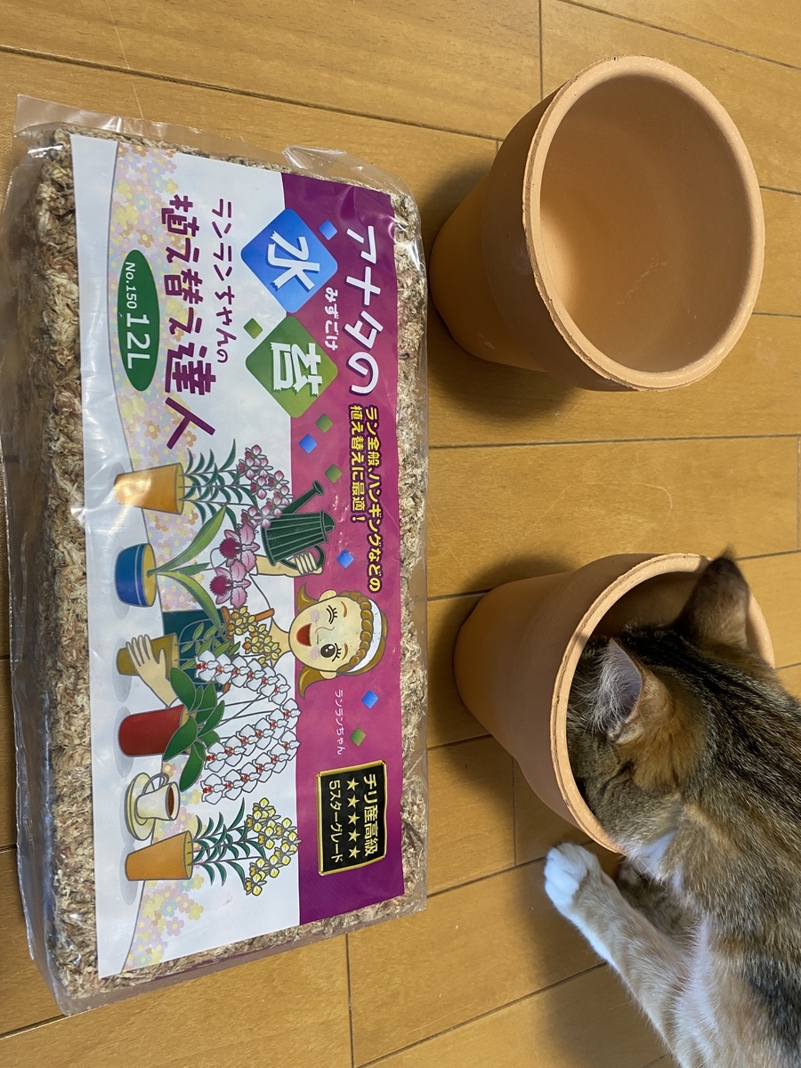 f:id:mp87:20210421230807j:plain