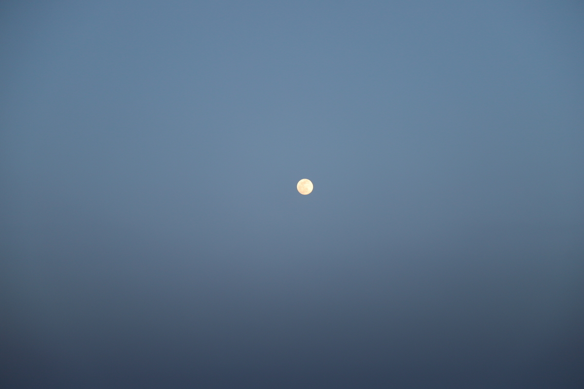 f:id:mp87:20210426224250j:plain