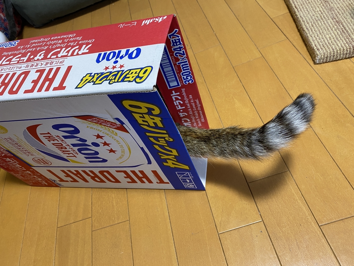 f:id:mp87:20210508012500j:plain