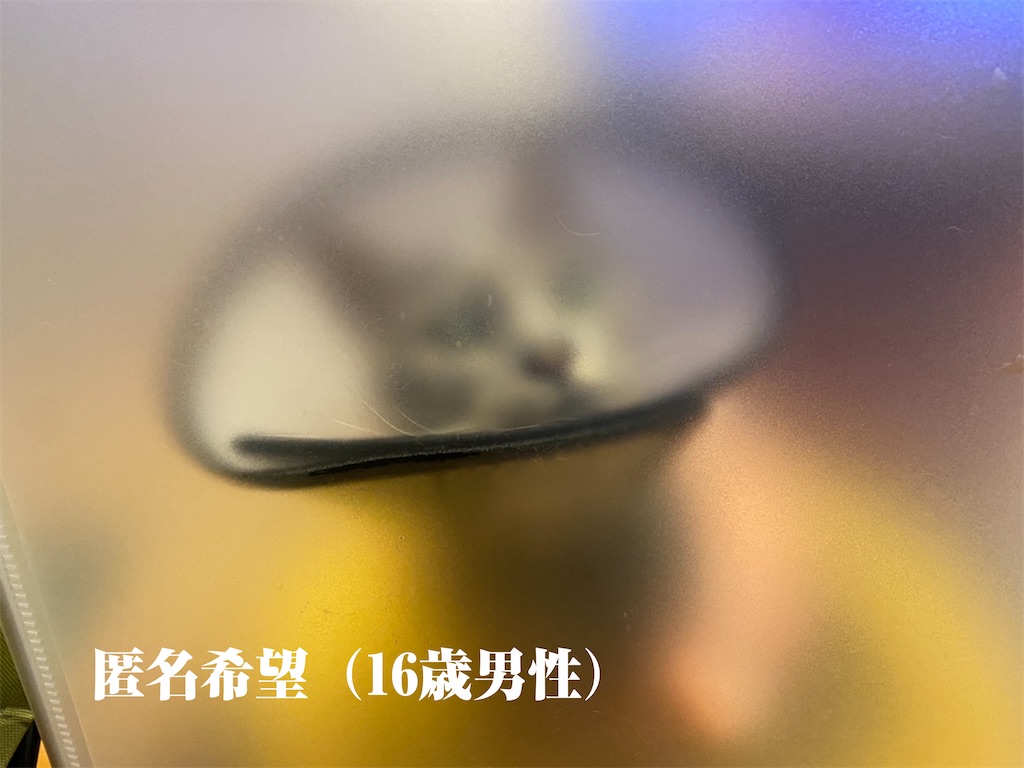 f:id:mp87:20210525231445j:image