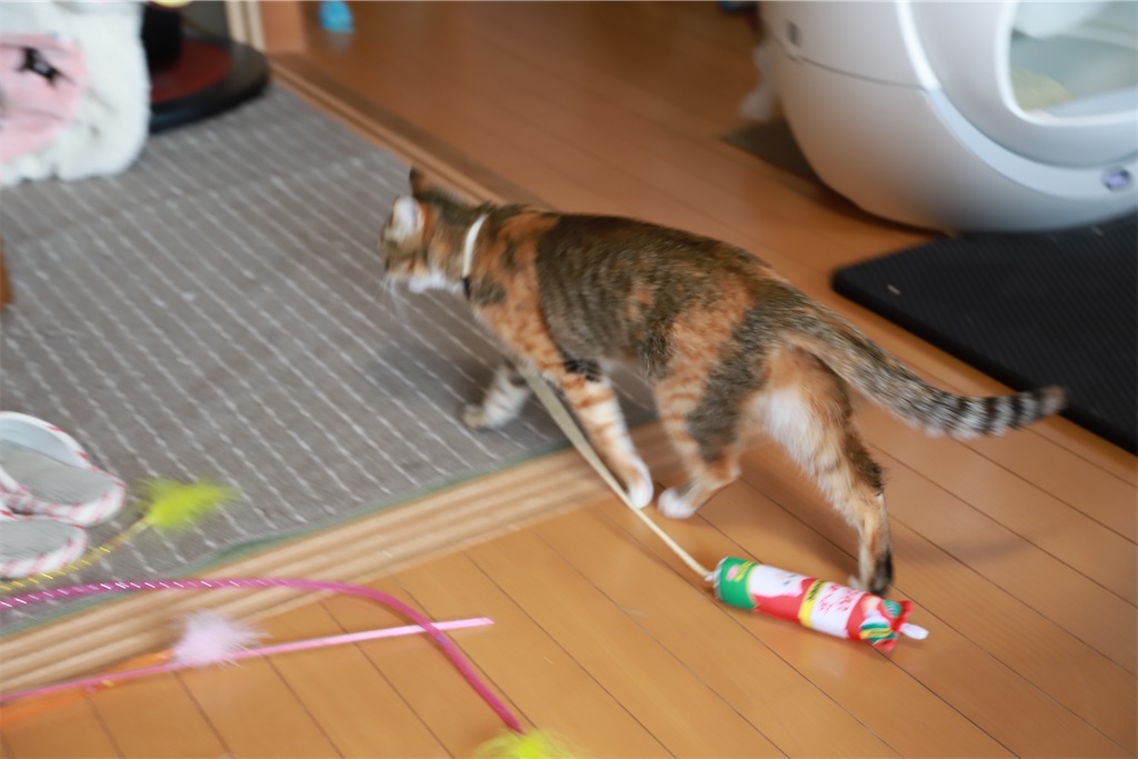 f:id:mp87:20210526231405j:image