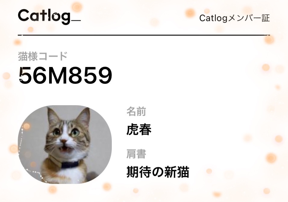 f:id:mp87:20210530141132j:plain