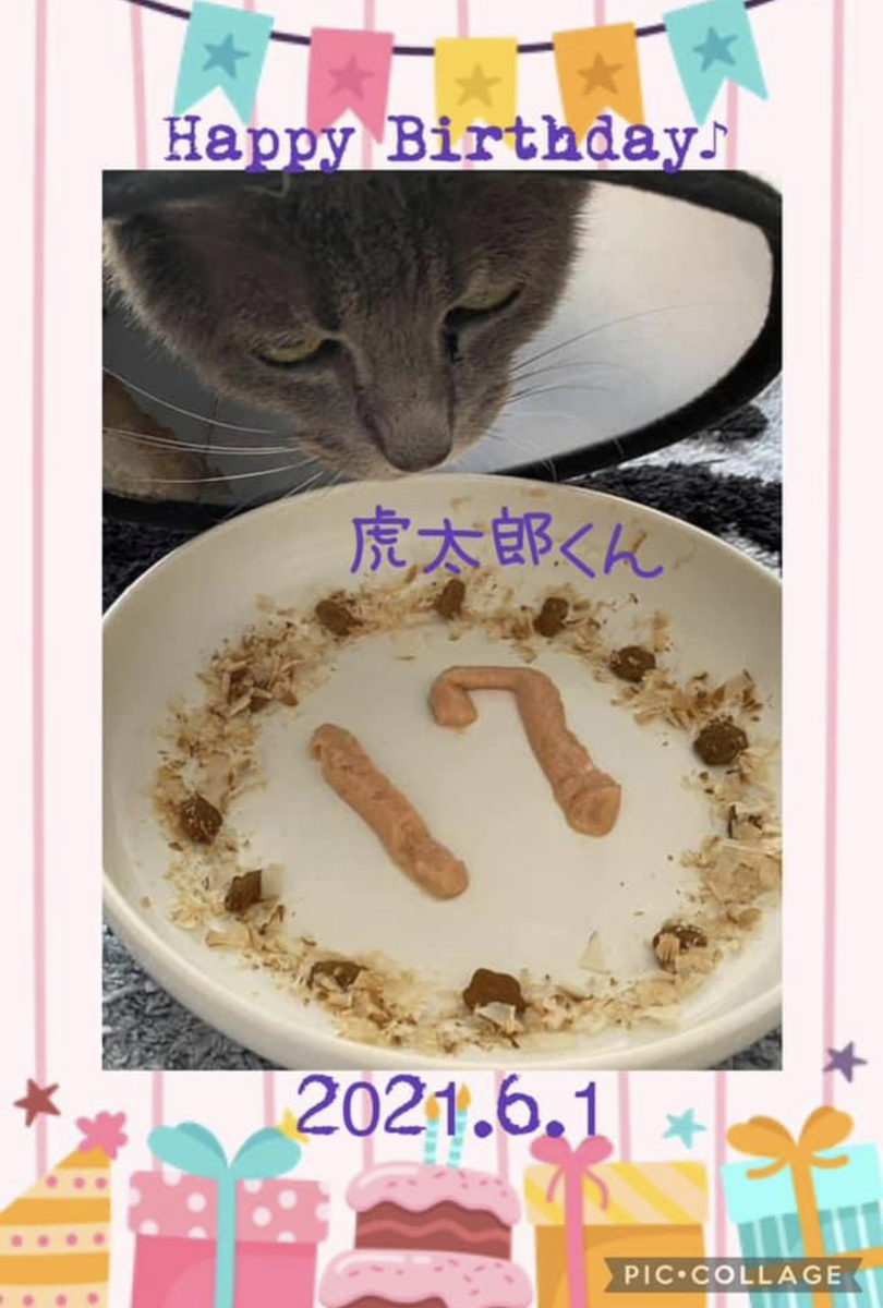 f:id:mp87:20210602235311j:plain