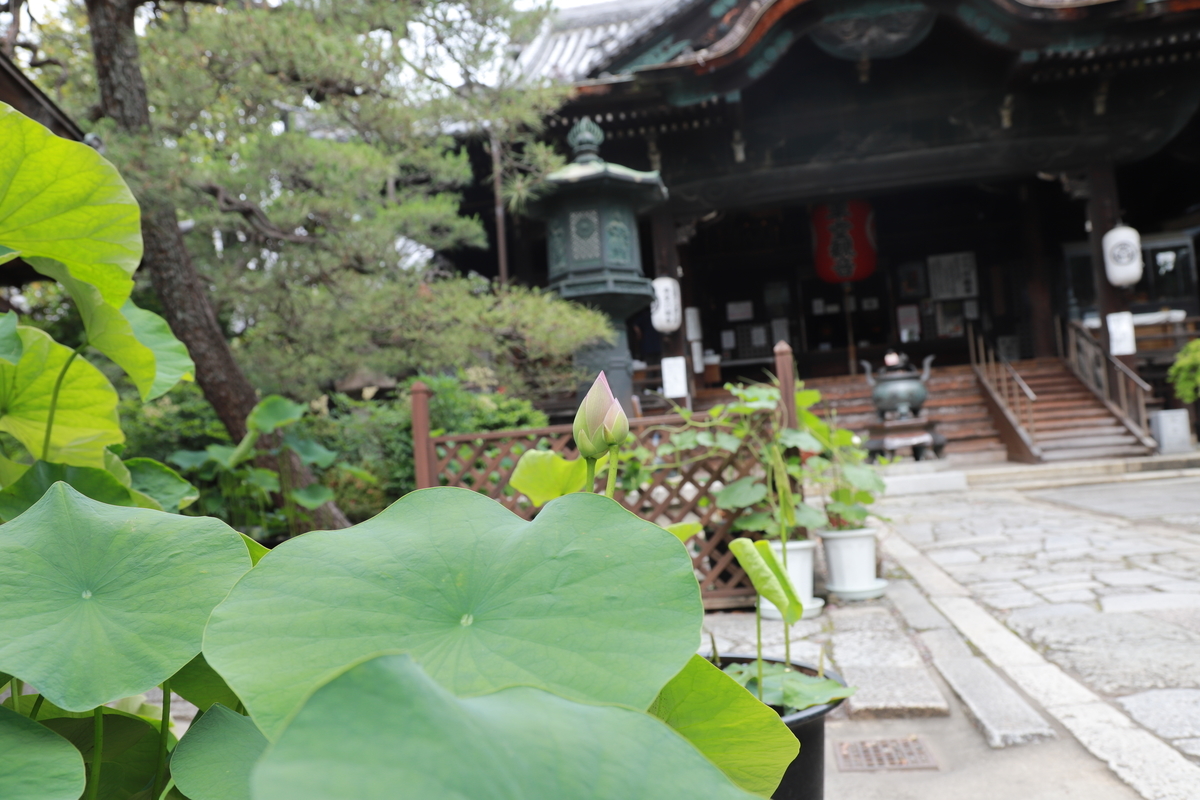 f:id:mp87:20210605181536j:plain