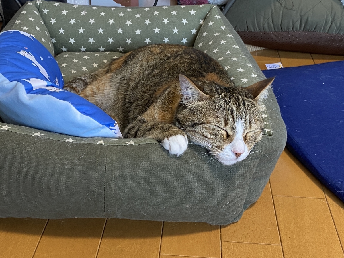 f:id:mp87:20210720233337j:plain