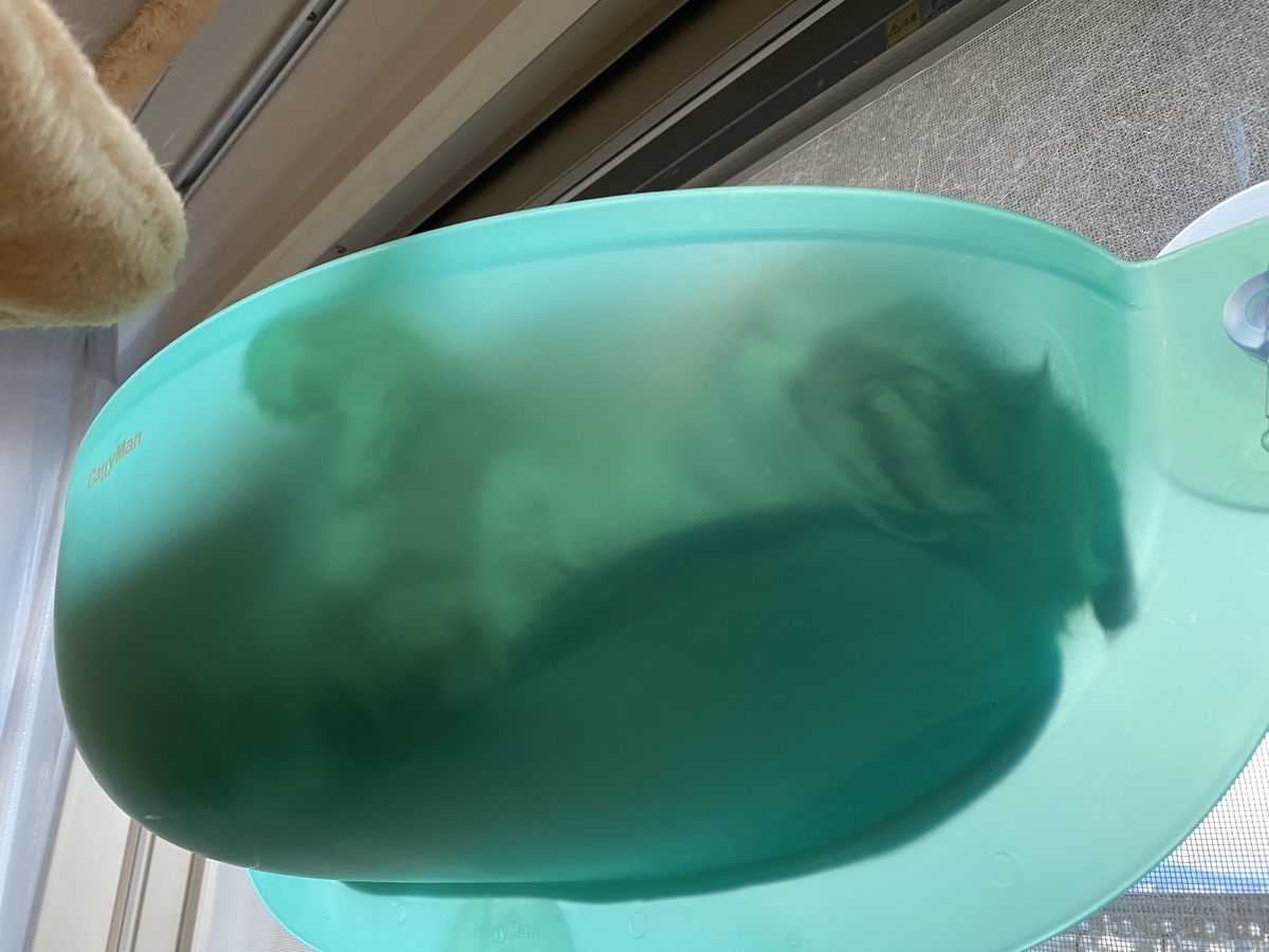f:id:mp87:20210727001146j:plain