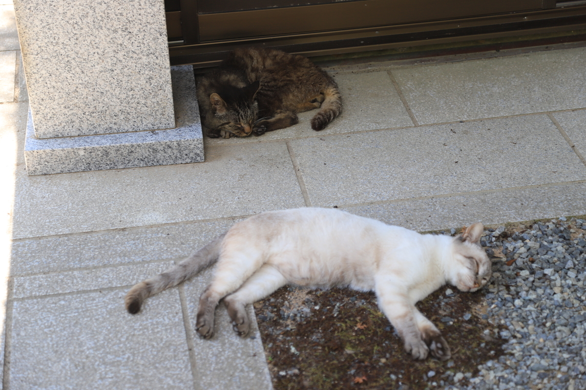 f:id:mp87:20210809174425j:plain