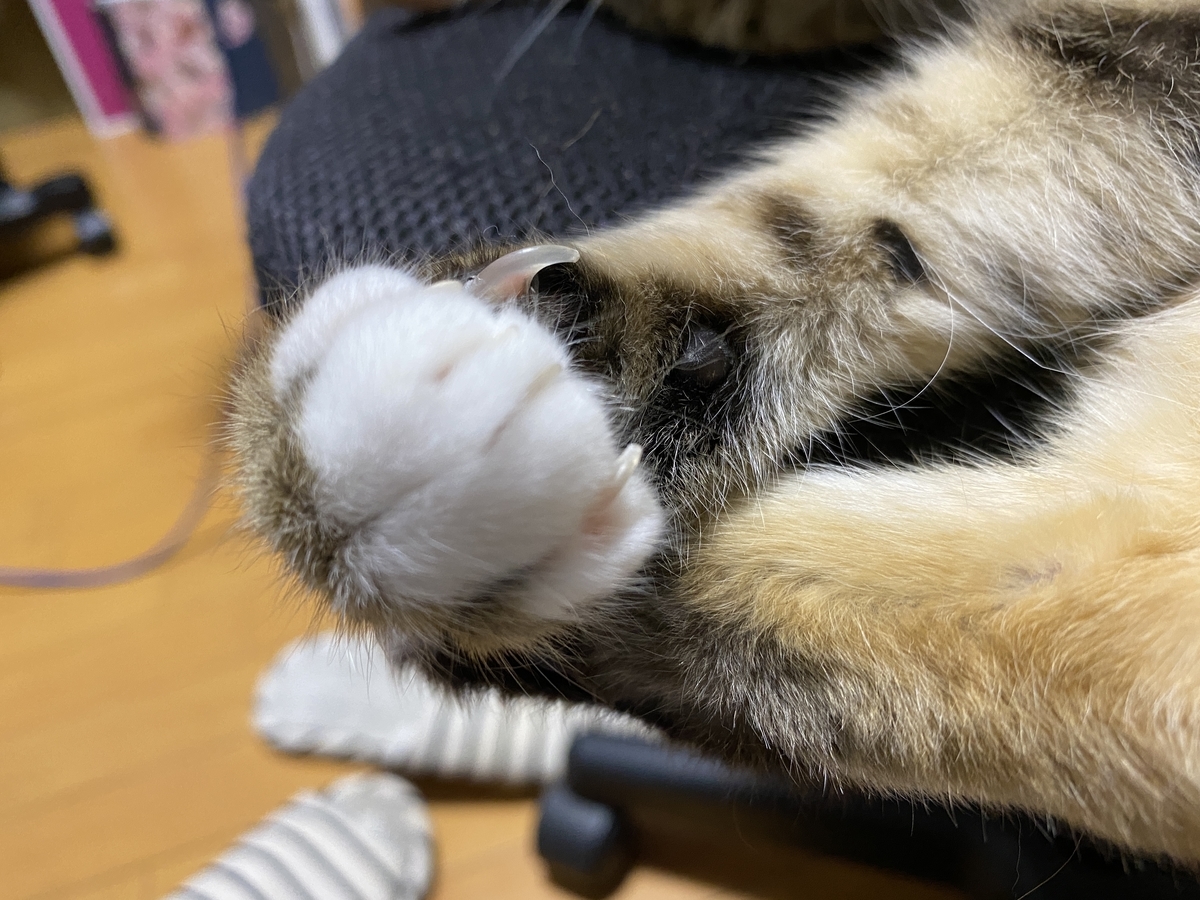f:id:mp87:20210809180122j:plain