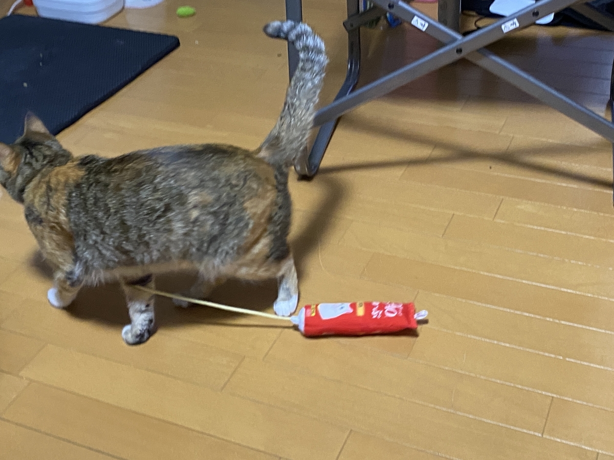 f:id:mp87:20210928220357j:plain