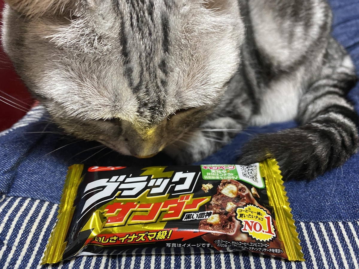 f:id:mp87:20211001231906j:plain