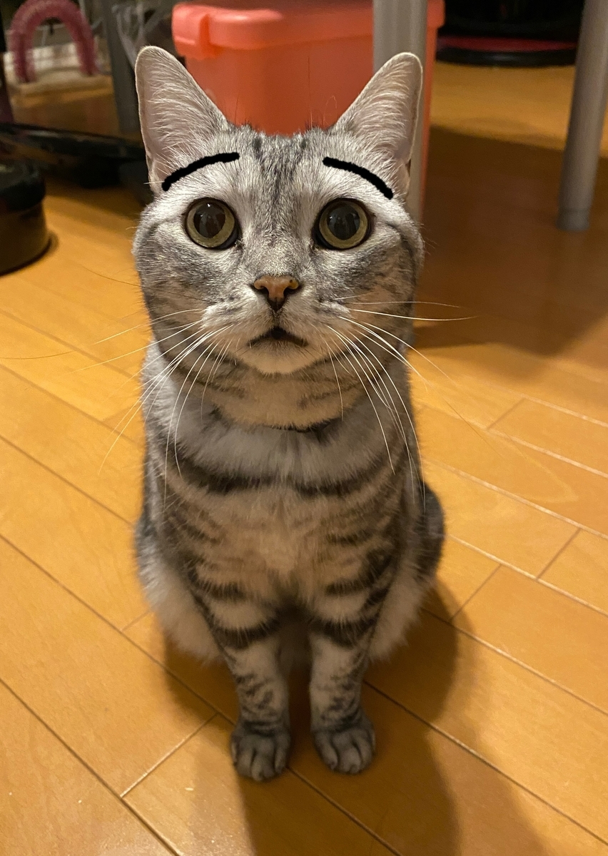 f:id:mp87:20211010213841j:plain