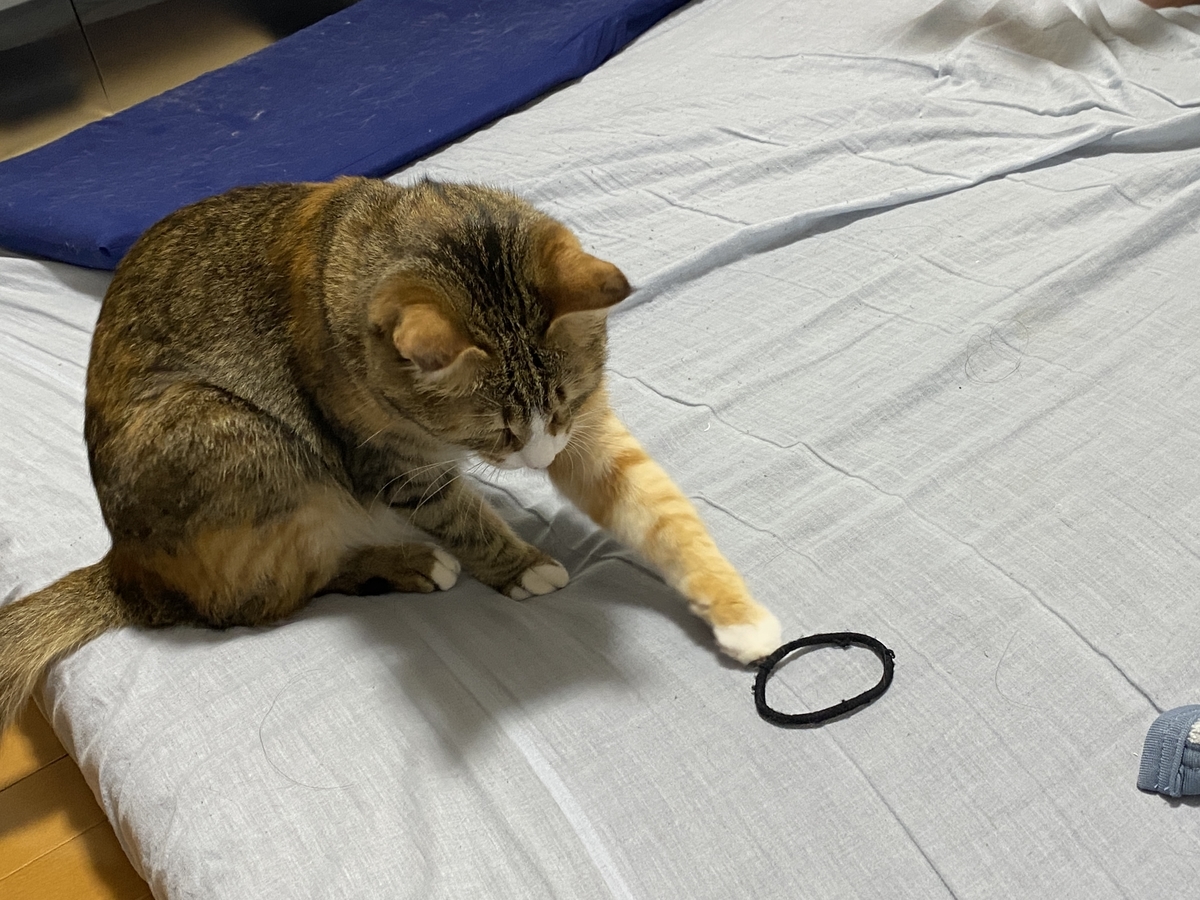 f:id:mp87:20211023204046j:plain