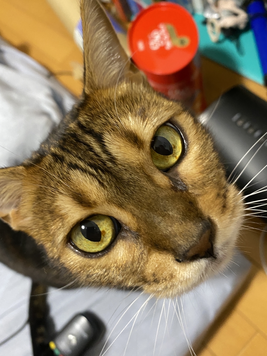 f:id:mp87:20211023205030j:plain