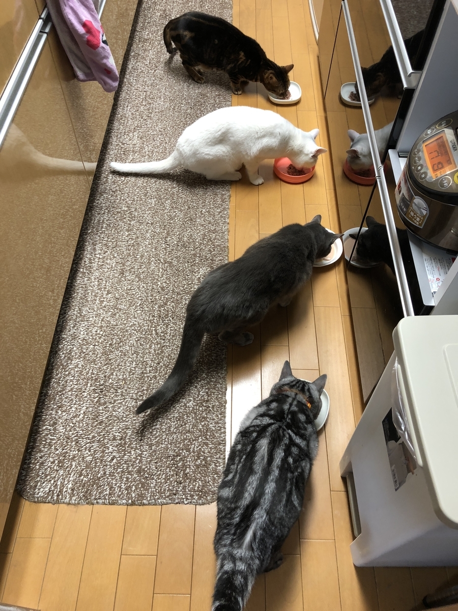 f:id:mp87:20211213220855j:plain