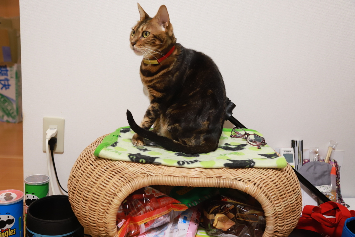 f:id:mp87:20220116205933j:plain