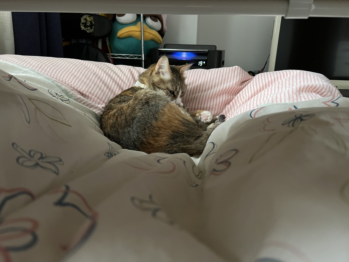 f:id:mp87:20220119210502j:plain