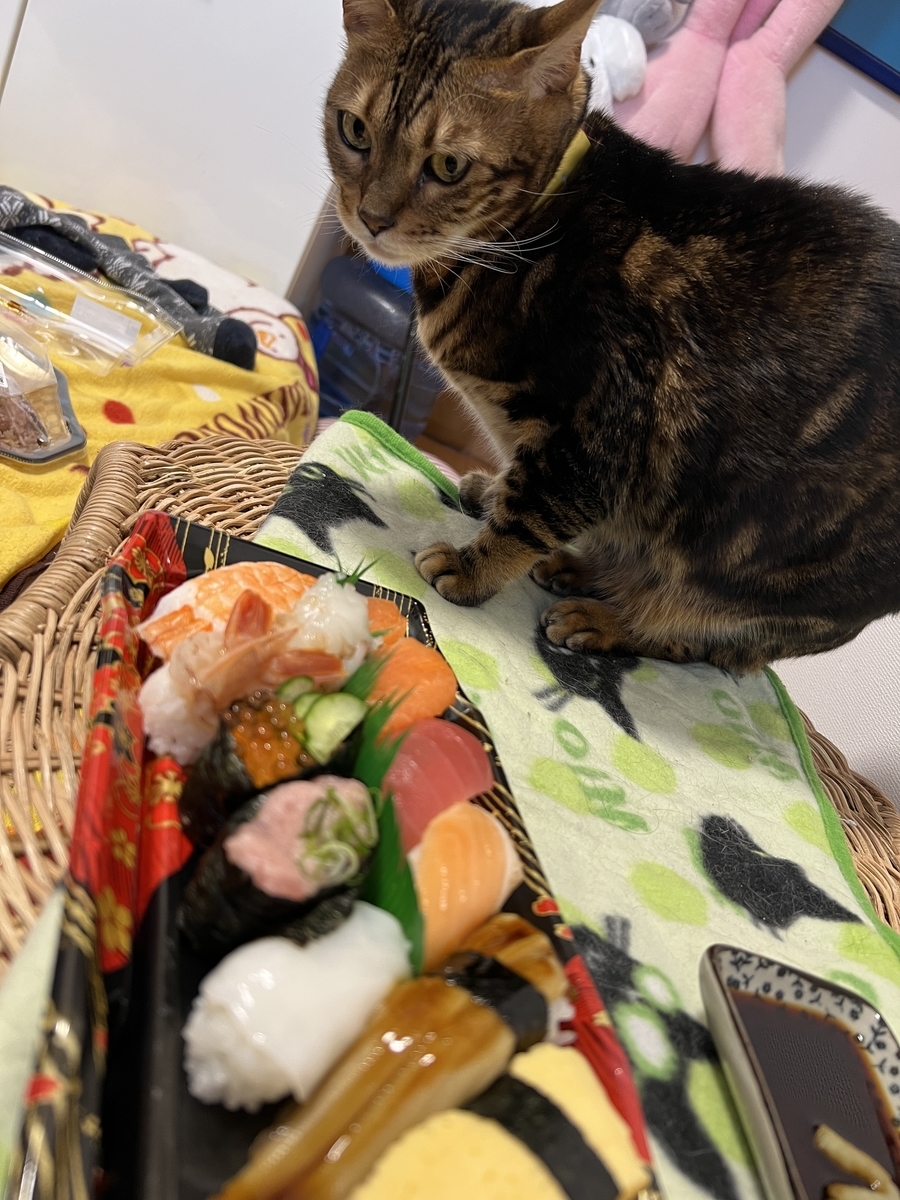 f:id:mp87:20220122222913j:plain