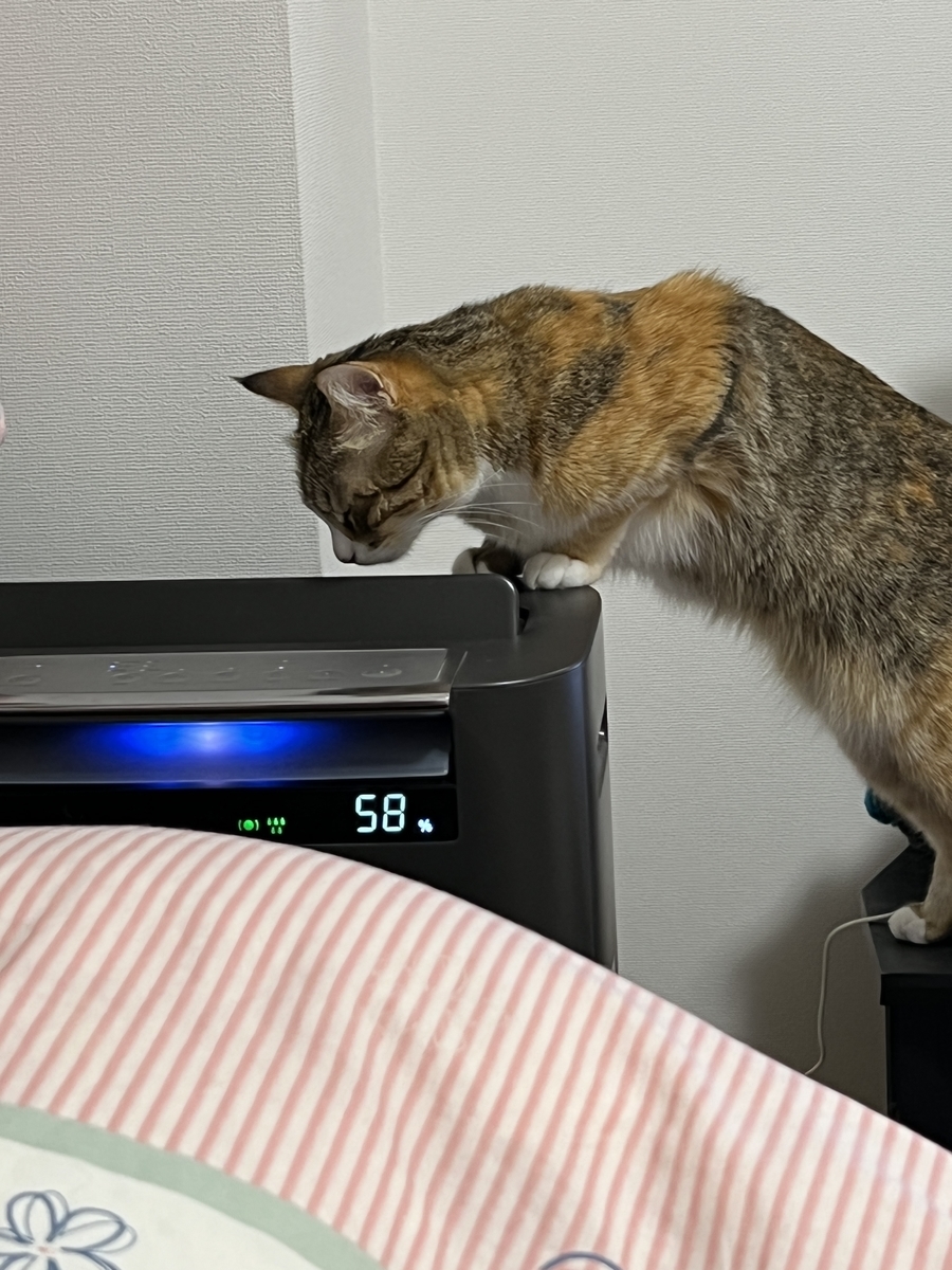 f:id:mp87:20220122223314j:plain