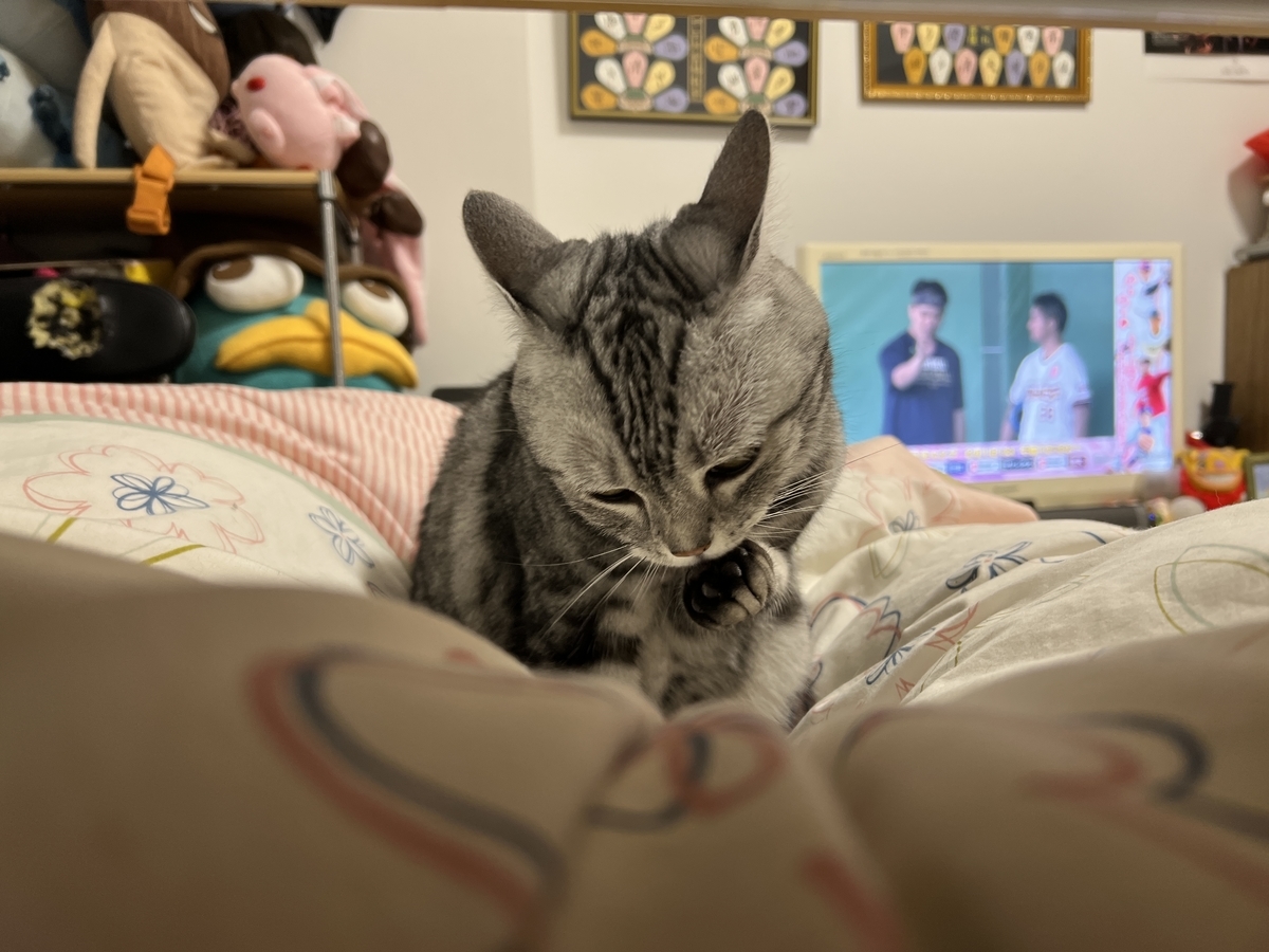 f:id:mp87:20220123205131j:plain