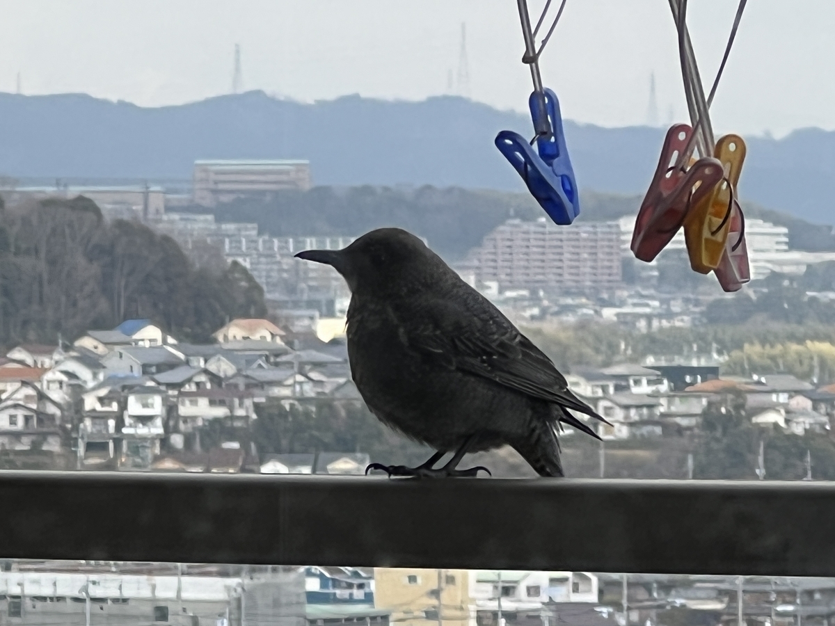 f:id:mp87:20220303205808j:plain