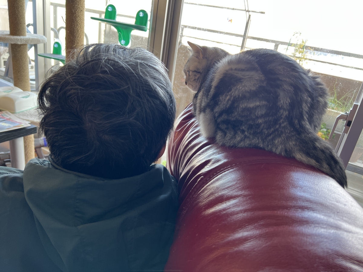 f:id:mp87:20220306160437j:plain