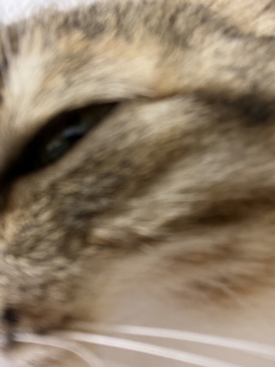f:id:mp87:20220308194920j:plain