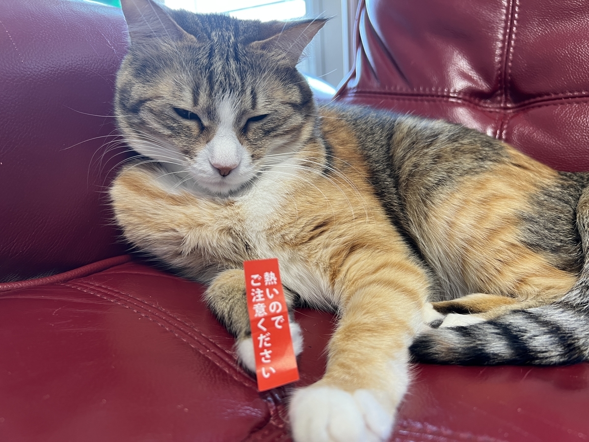 f:id:mp87:20220310203202j:plain