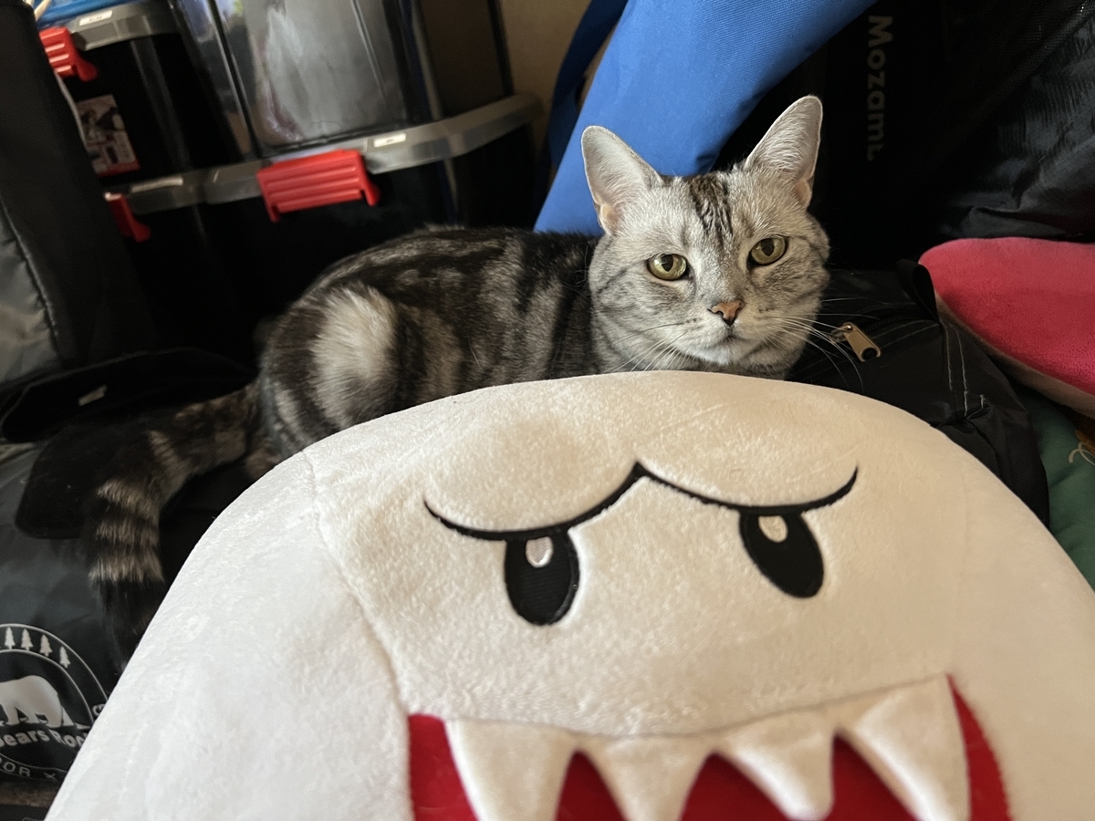 f:id:mp87:20220310204234j:plain