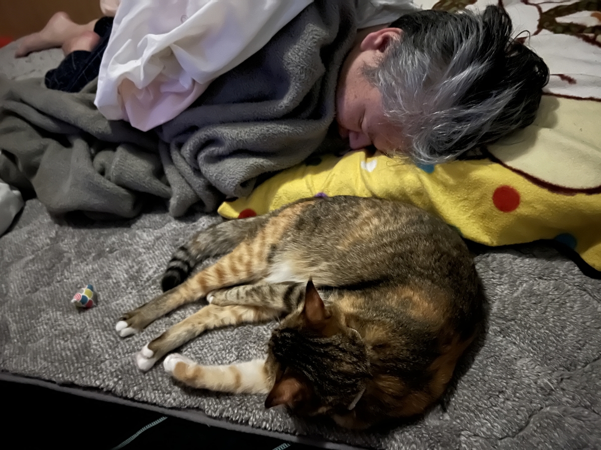 f:id:mp87:20220401235236j:plain