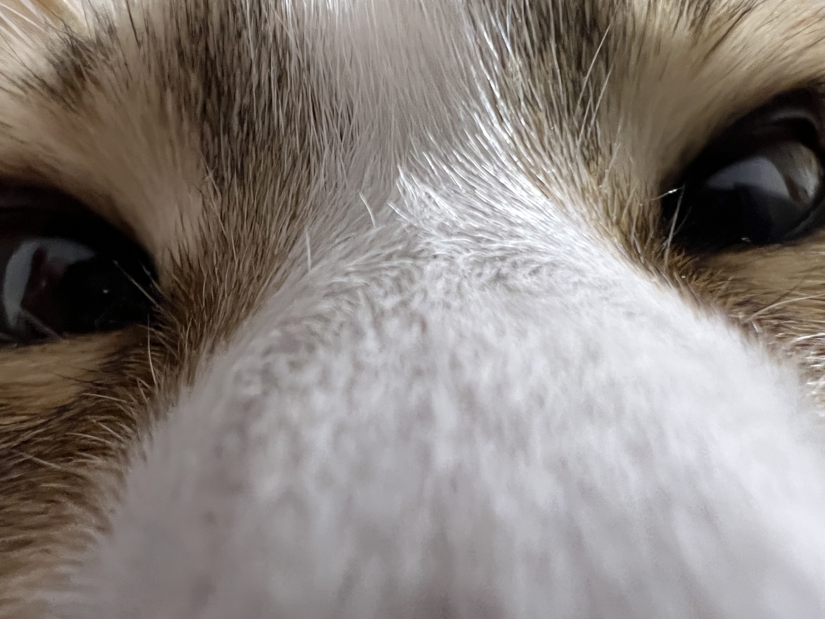 f:id:mp87:20220414221148j:plain