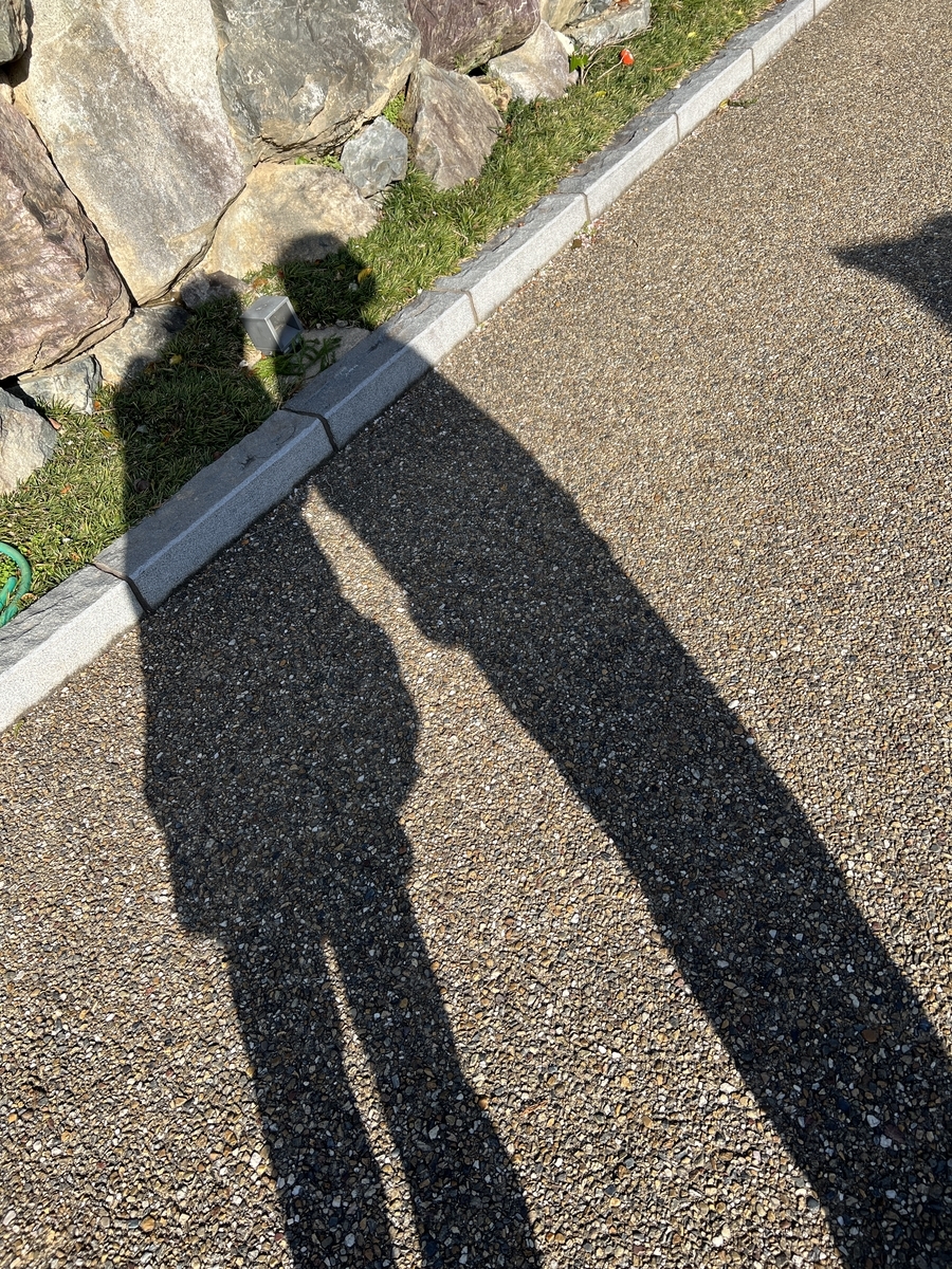 f:id:mp87:20220417213829j:plain
