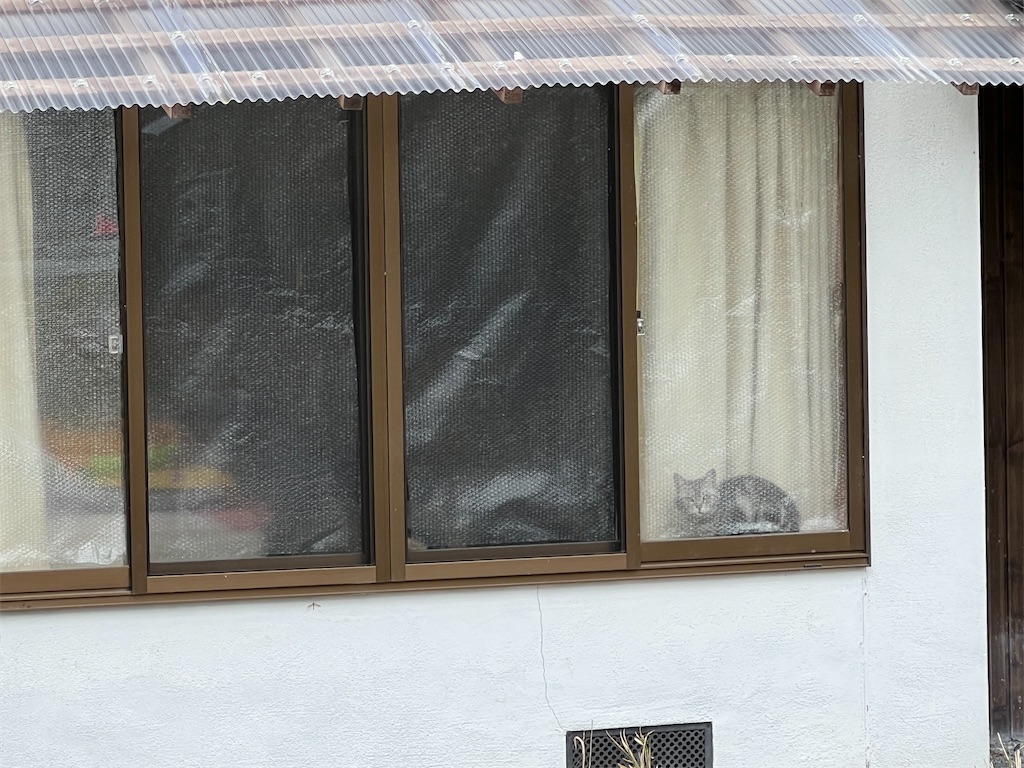 f:id:mp87:20230318215116j:image f:id:mp87:20230318215116j:image
