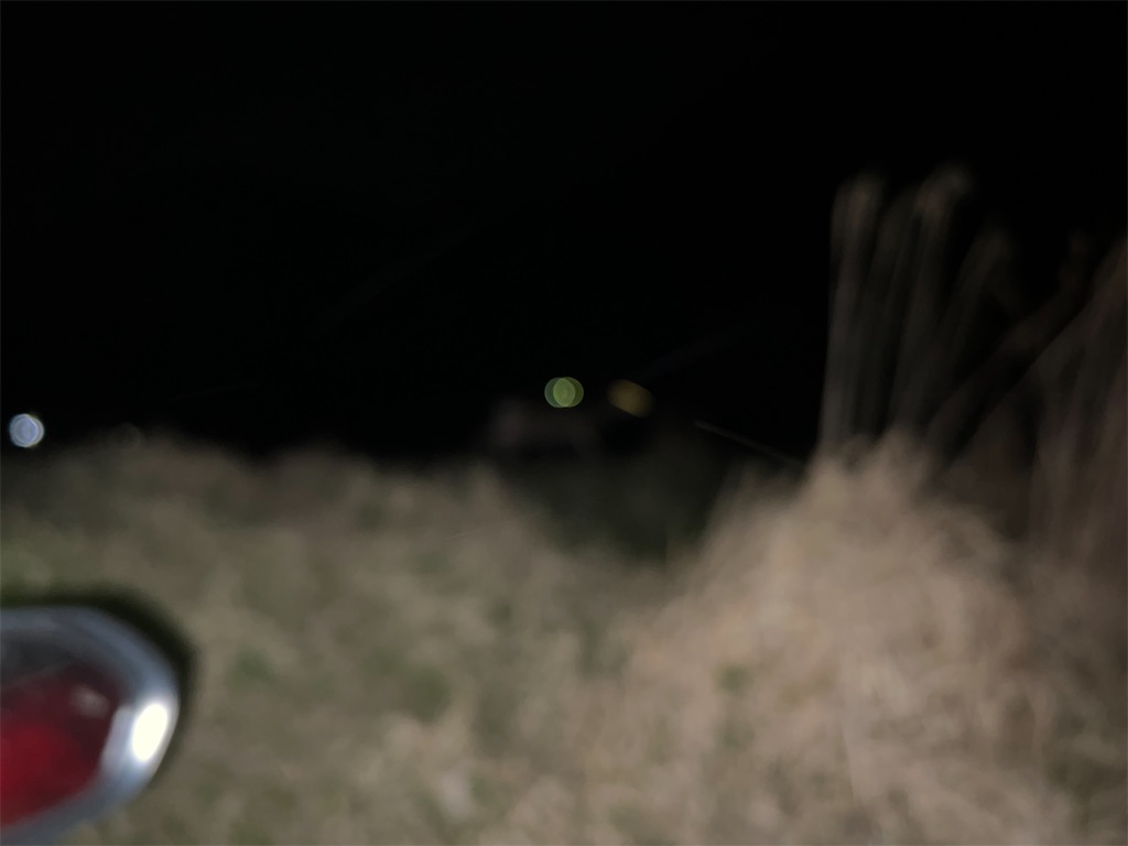 f:id:mp87:20230415001051j:image