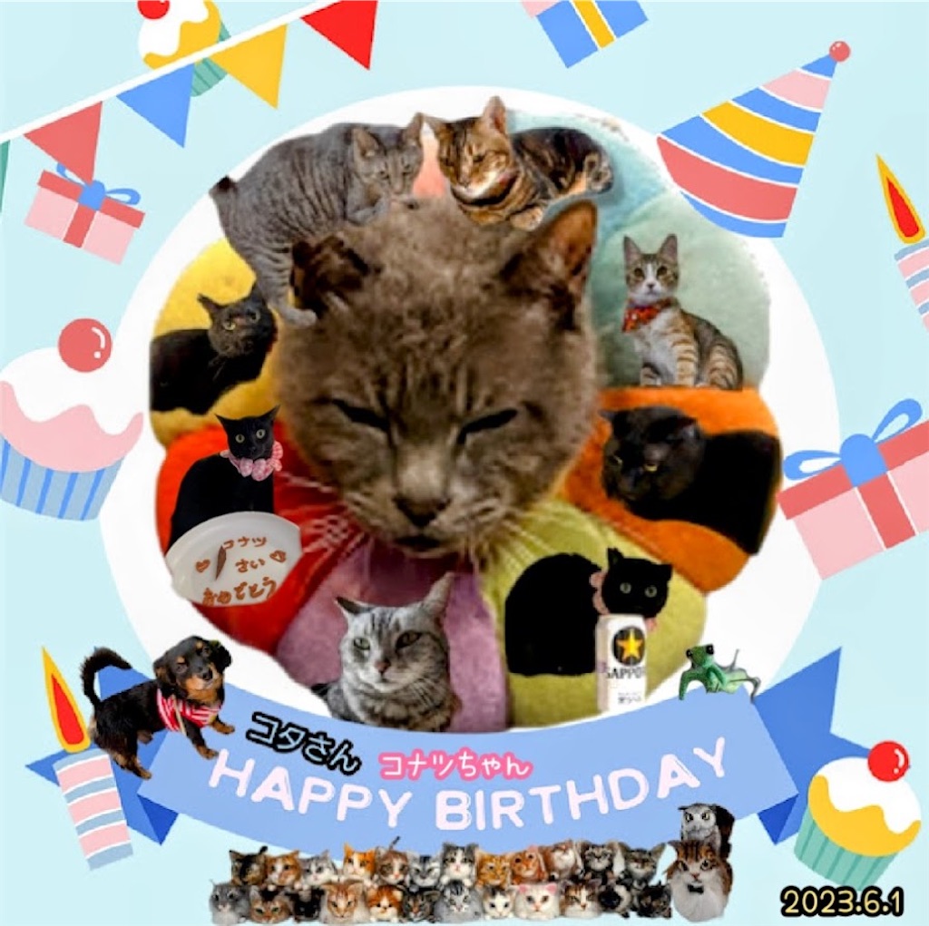 f:id:mp87:20230603235036j:image