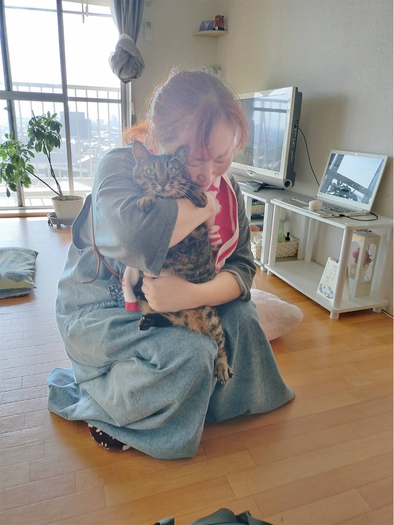 f:id:mp87:20230918210126j:image f:id:mp87:20230918210126j:image