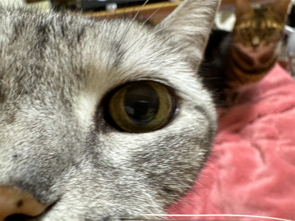 f:id:mp87:20231113224545j:image
