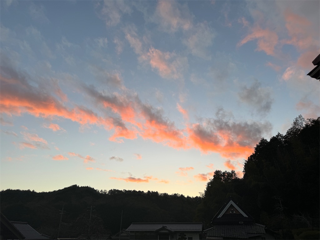 f:id:mp87:20231113225717j:image
