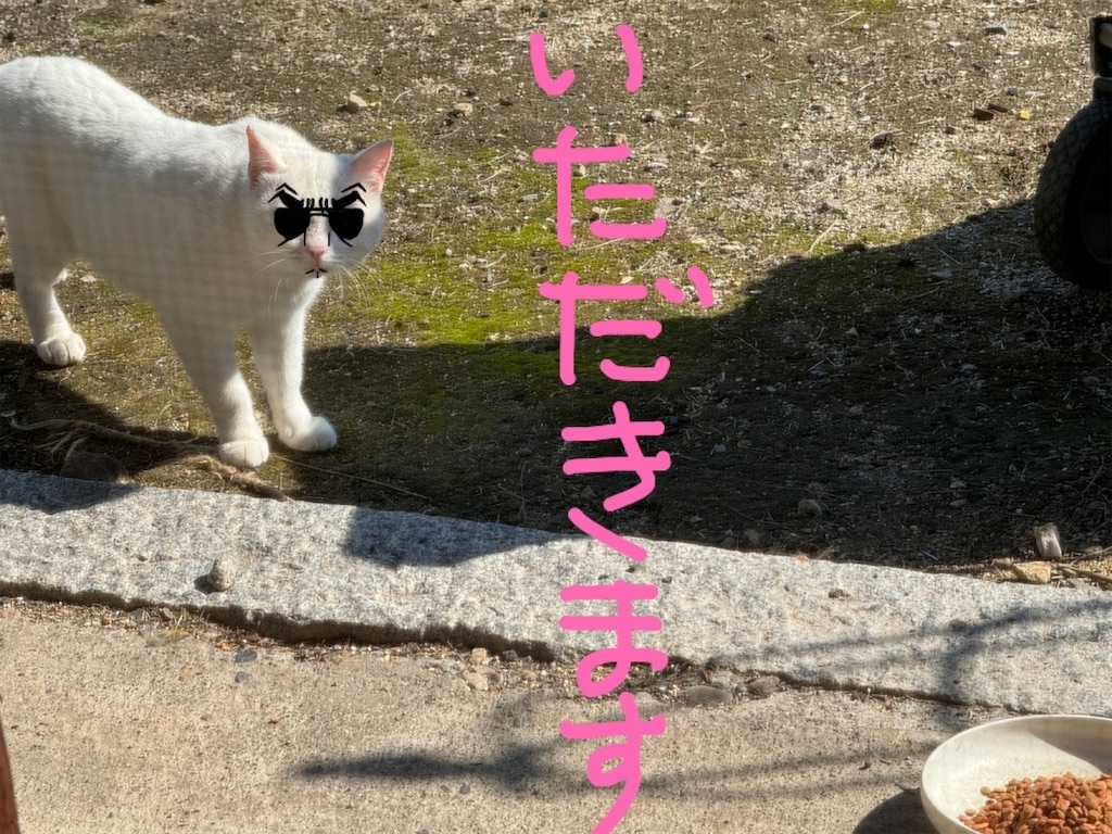 f:id:mp87:20231113230001j:image