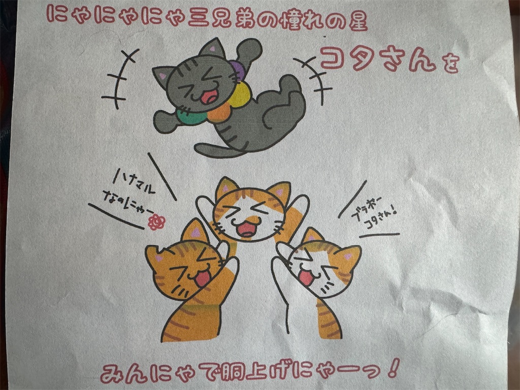 f:id:mp87:20240223234700j:image