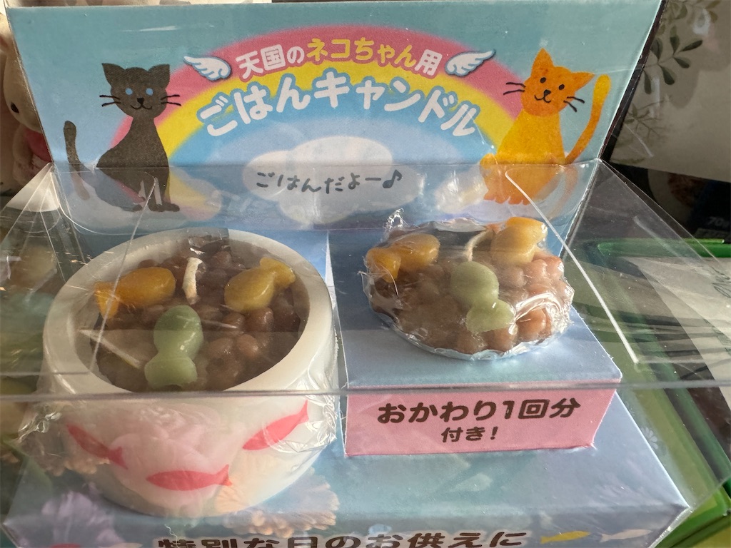 f:id:mp87:20240223234850j:image