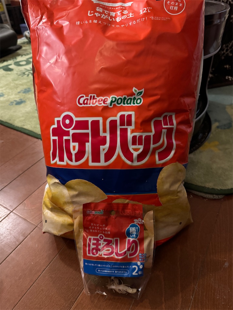 f:id:mp87:20240223235141j:image