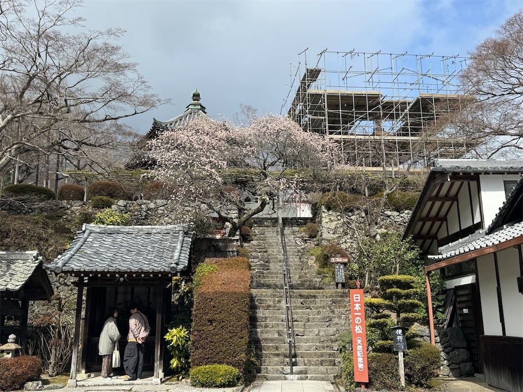 f:id:mp87:20240310002614j:image