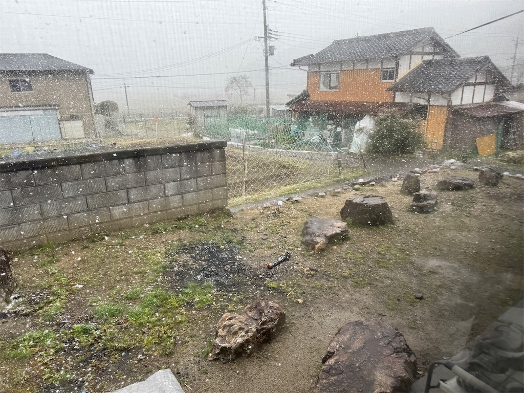f:id:mp87:20240321231701j:image f:id:mp87:20240321231701j:image